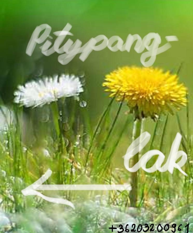 셰지트모노스토 Pitypang Lak 아파트 외부 사진